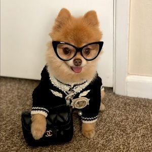 Coco Cardigan Sweater for Small Dog